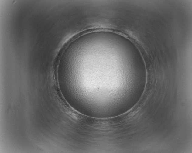 X0000067931215200604131414