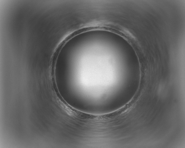 X0000067931216200604131414