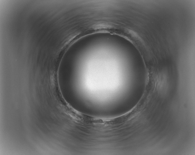 X0000067931217200604131414