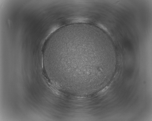 X0000067931219200604131414