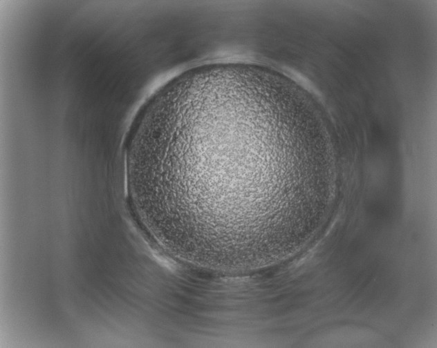 X0000067931223200604131414