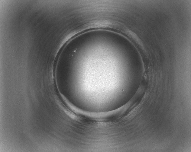 X0000067931226200604131414