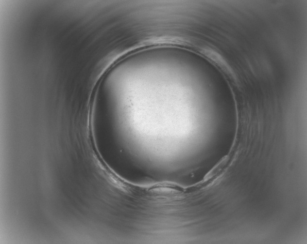 X0000067931228200604131414