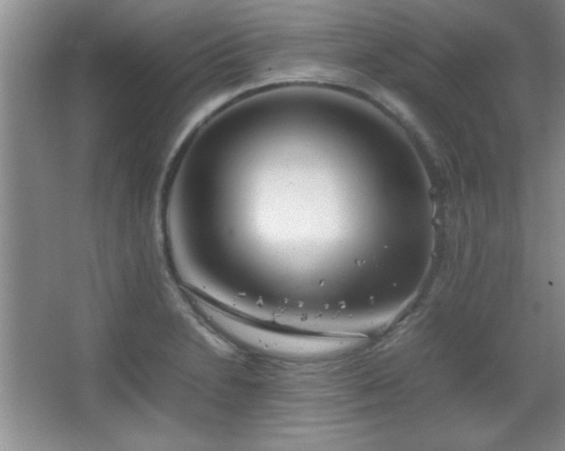 X0000067931230200604131414