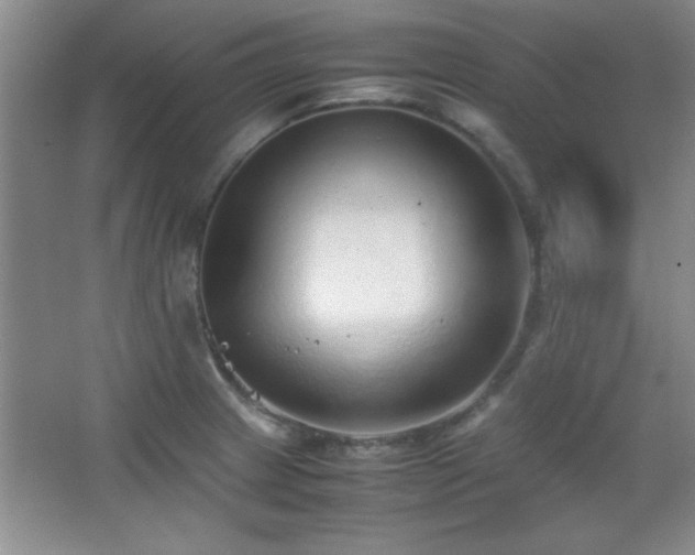 X0000067931233200604131414