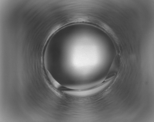 X0000067931234200604131414