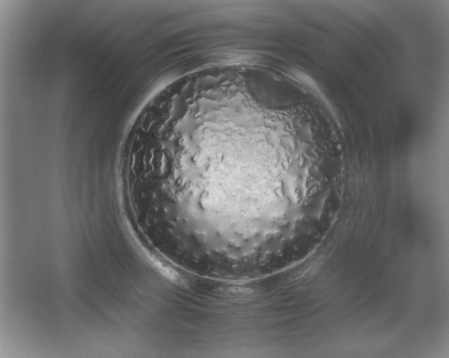 X0000067931235200604131414