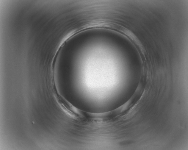 X0000067931242200604131414