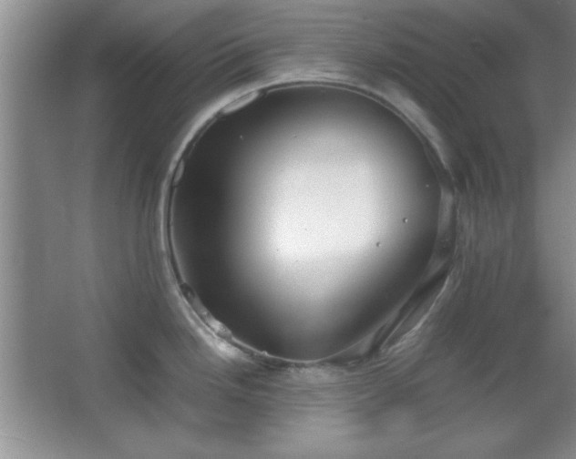 X0000067931246200604131414