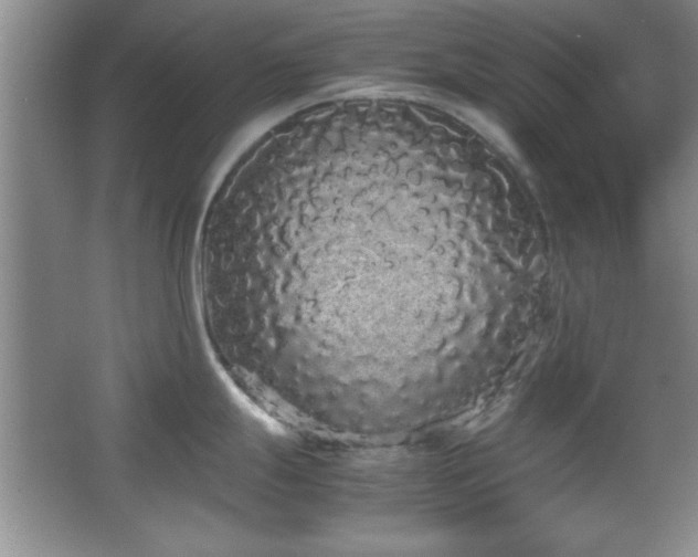 X0000067931247200604131414
