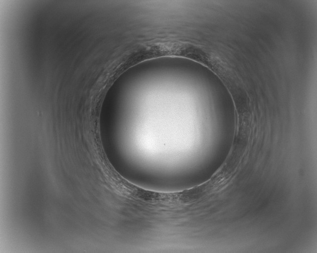 X0000067931249200604131414