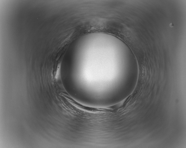 X0000067931250200604131413