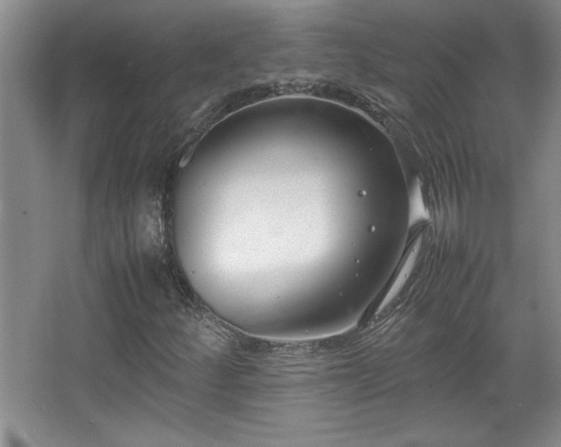 X0000067931252200604131413