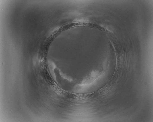 X0000067931254200604131413