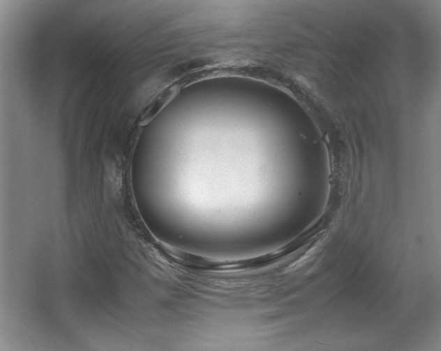 X0000067931257200604131413