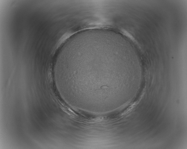 X0000067931259200604131413