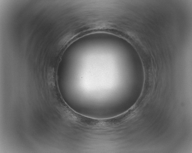 X0000067931265200604131413