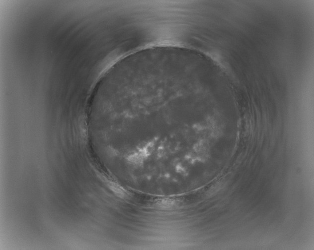 X0000067931266200604131413