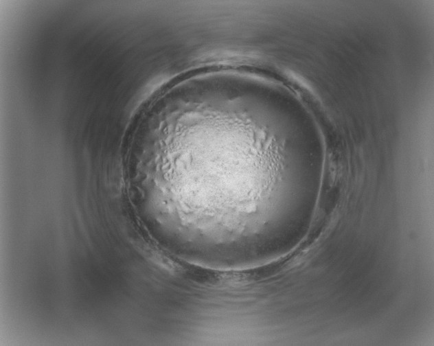 X0000067931267200604131413