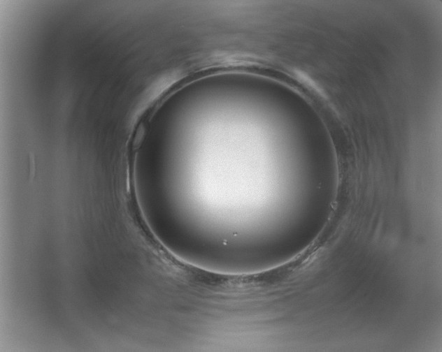 X0000067931269200604131413