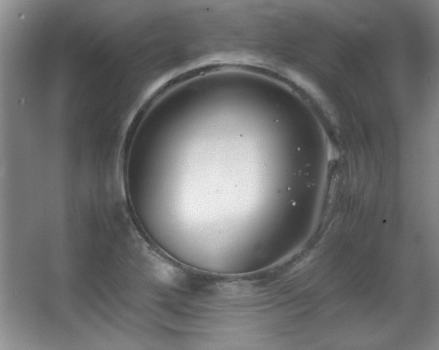 X0000067931272200604131413