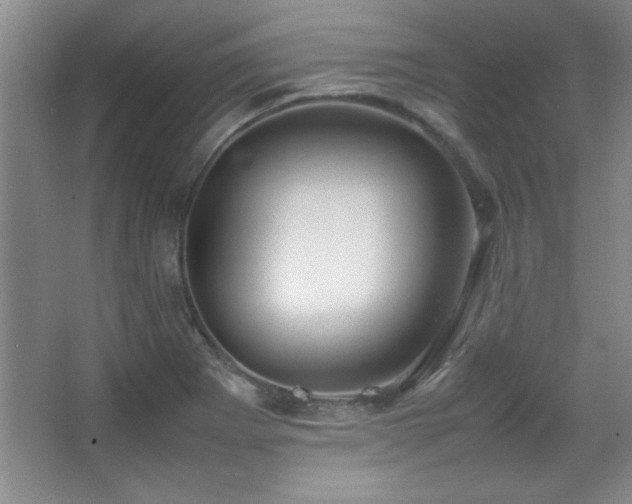 X0000067931273200604131413