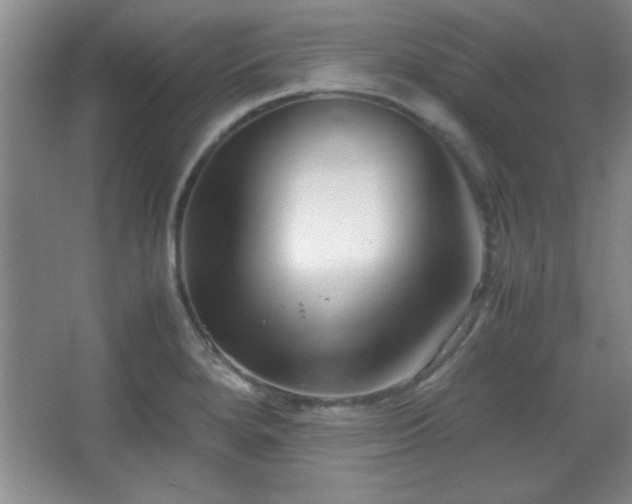 X0000067931280200604131413