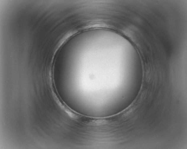 X0000067931282200604131413