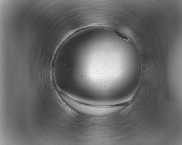 X0000067931284200604131413