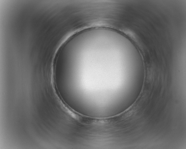 X0000067931286200604131413