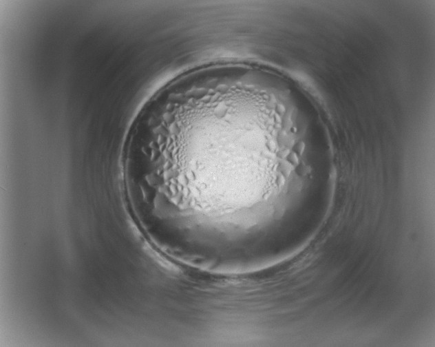 X0000067931287200604131413