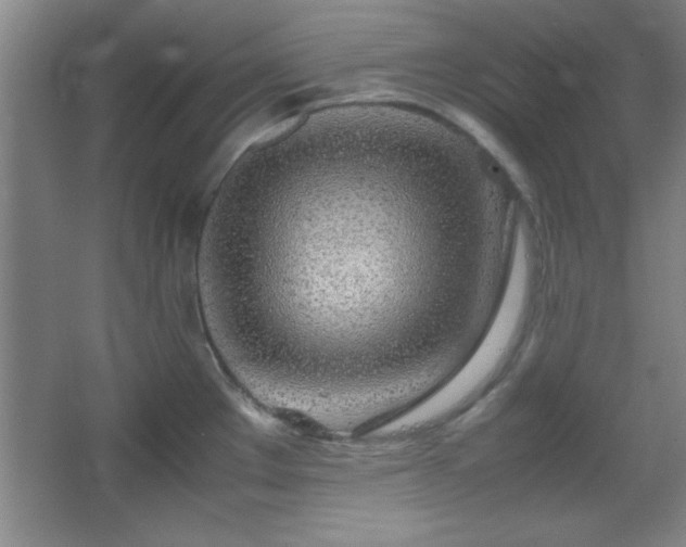 X0000067931289200604131413