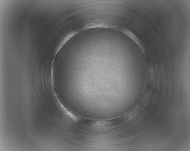 X0000067931290200604131413