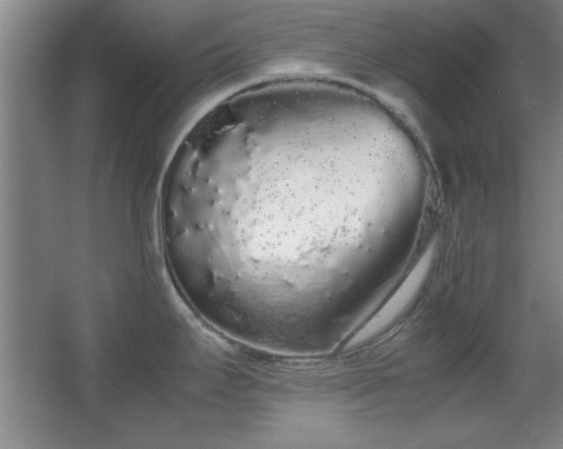 X0000067931295200604131413