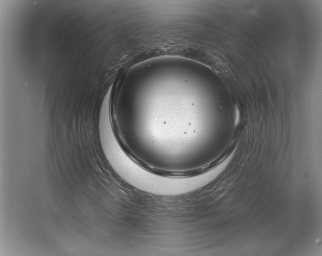 X0000067931298200604131412
