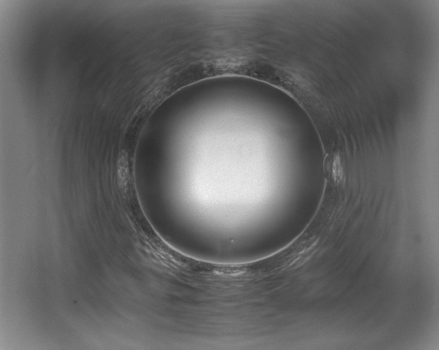 X0000067931299200604131412