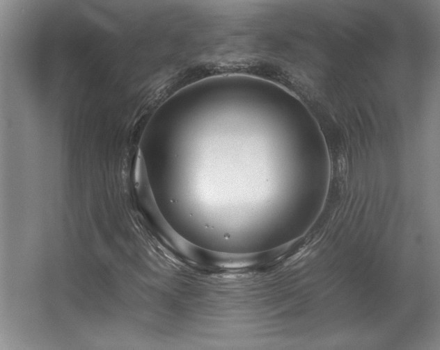 X0000067931300200604131412