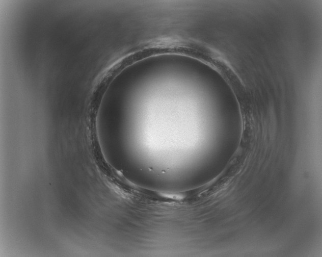 X0000067931304200604131412