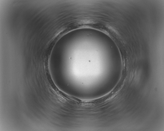 X0000067931305200604131412