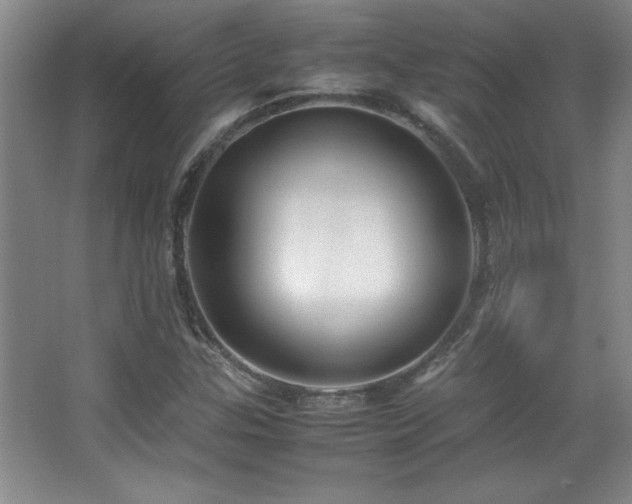 X0000067931307200604131412