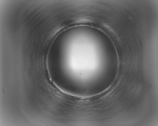 X0000067931313200604131412