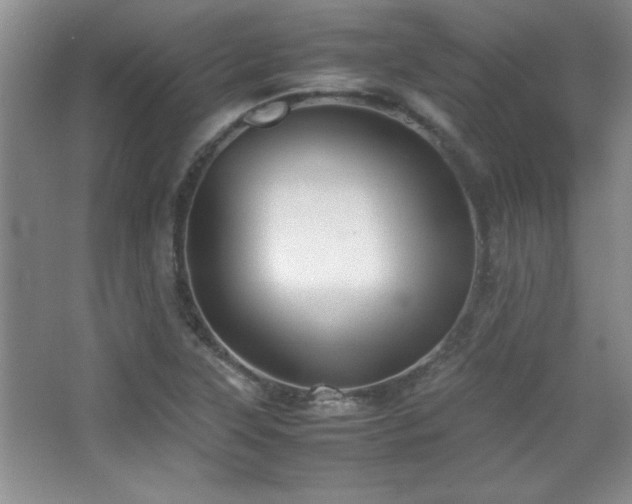 X0000067931315200604131412