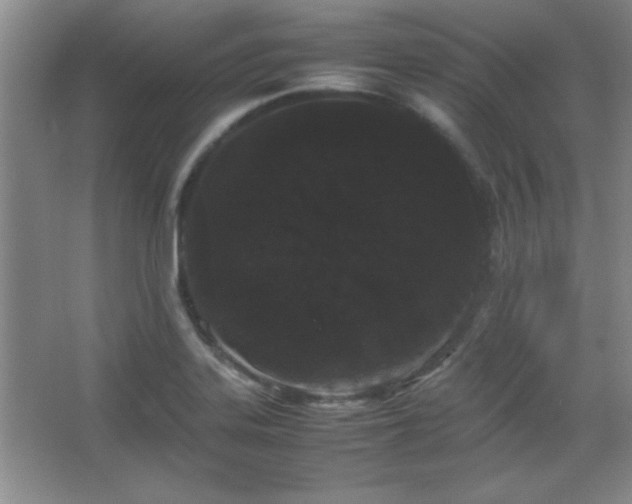 X0000067931323200604131412