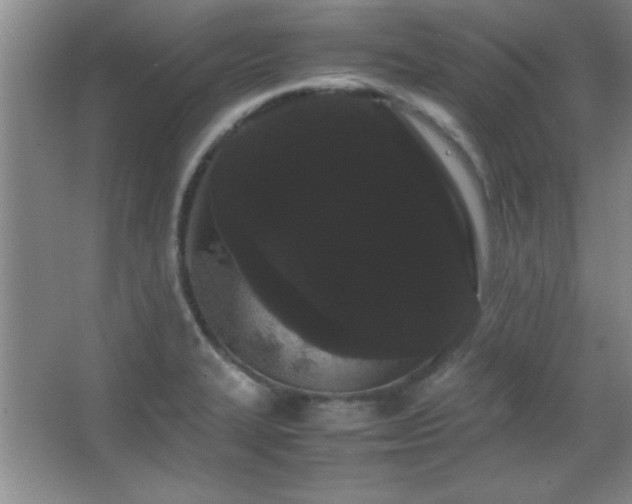 X0000067931327200604131412