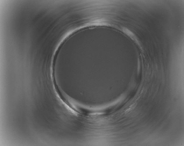 X0000067931334200604131413