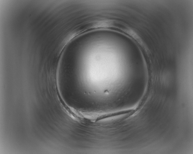 X0000067931337200604131413