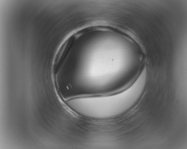 X0000067931342200604131413