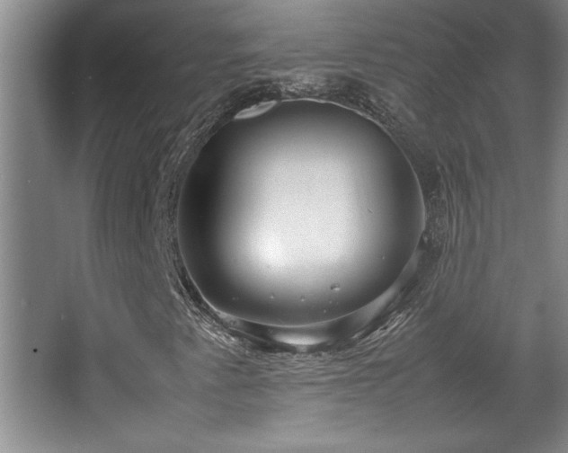 X0000067931345200604131412