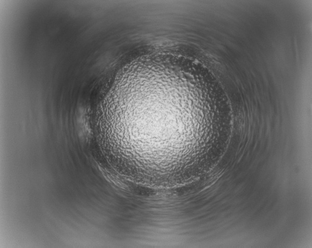 X0000067931346200604131412
