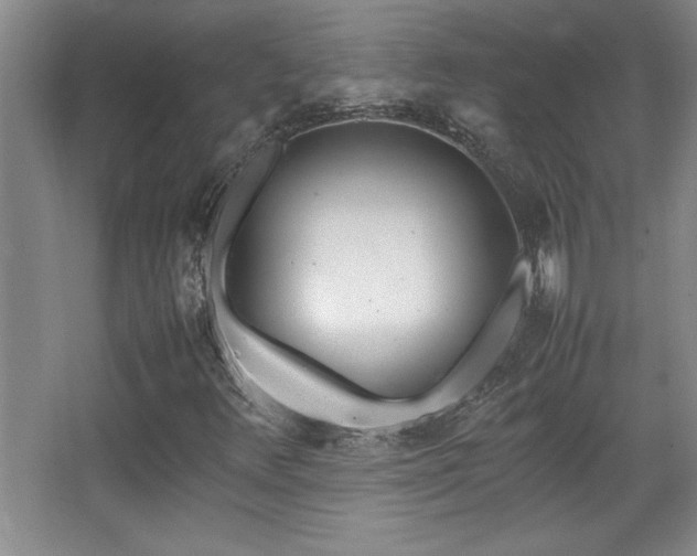X0000067931348200604131412